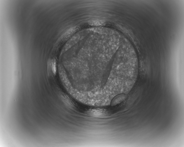 X0000103960069200810031212