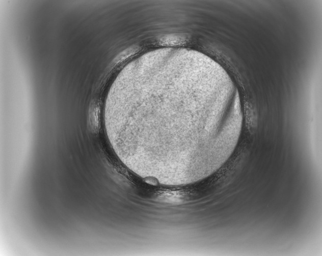 X0000103960071200810031212