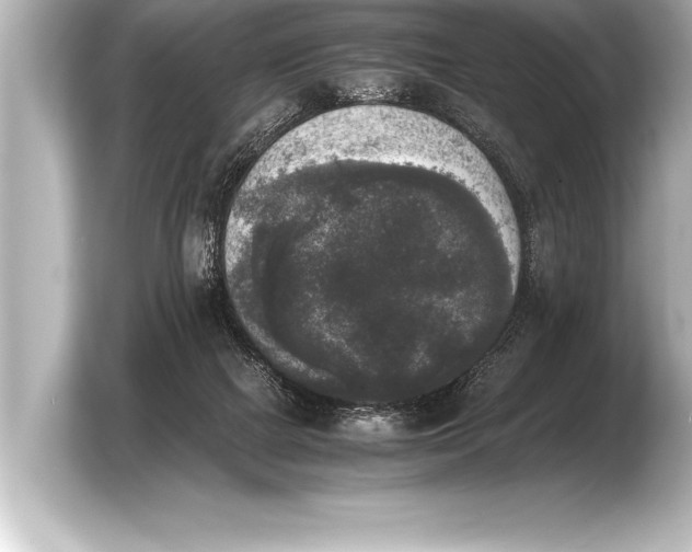 X0000103960073200810031212