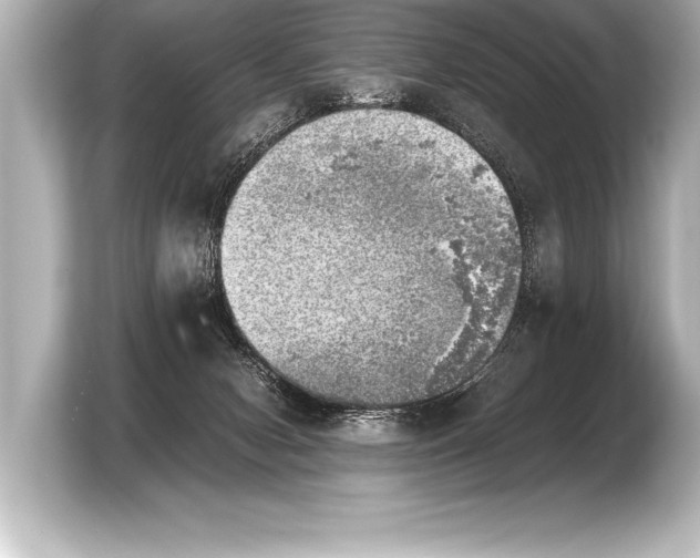 X0000103960078200810031213