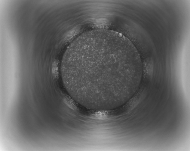 X0000103960080200810031213