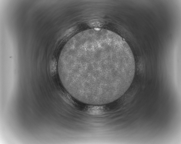 X0000103960081200810031213