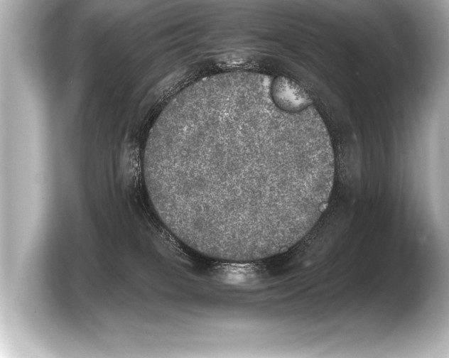 X0000103960085200810031213