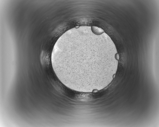 X0000103960086200810031213