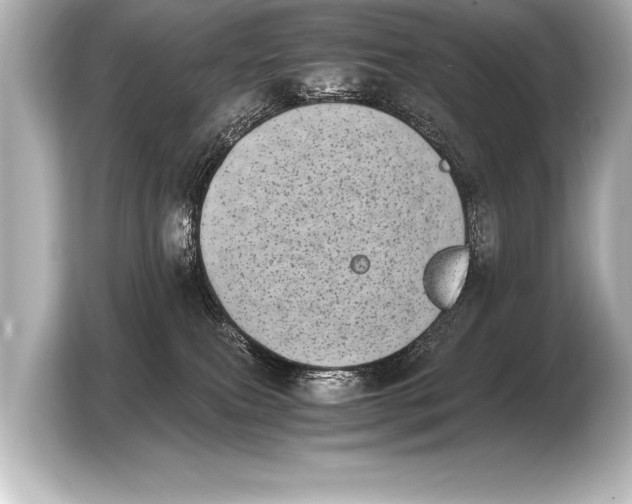 X0000103960087200810031213