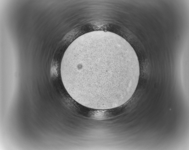 X0000103960090200810031213