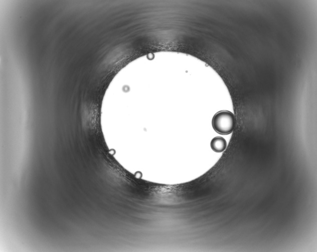 X0000103960092200810031213