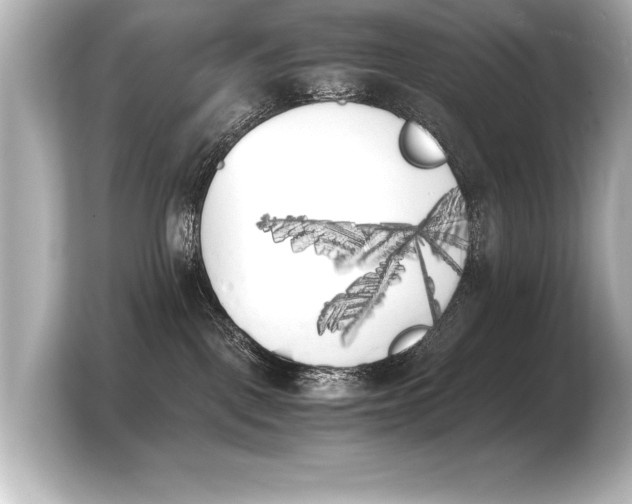 X0000103960093200810031213