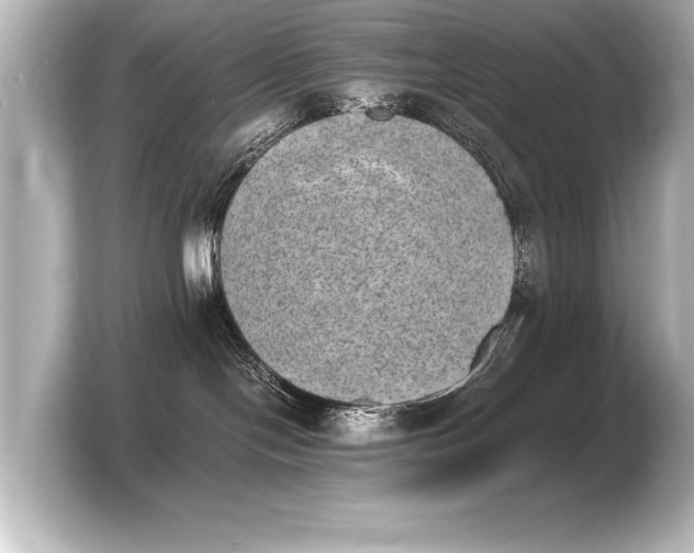 X0000103960094200810031213