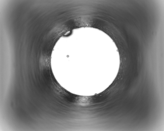 X0000103960096200810031213