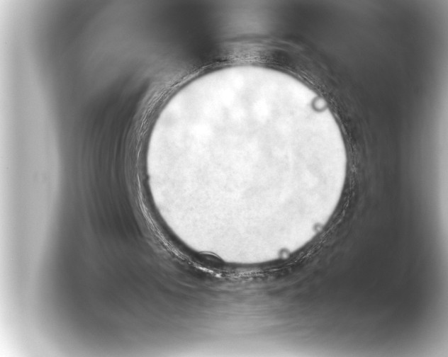 X0000103960097200810031212