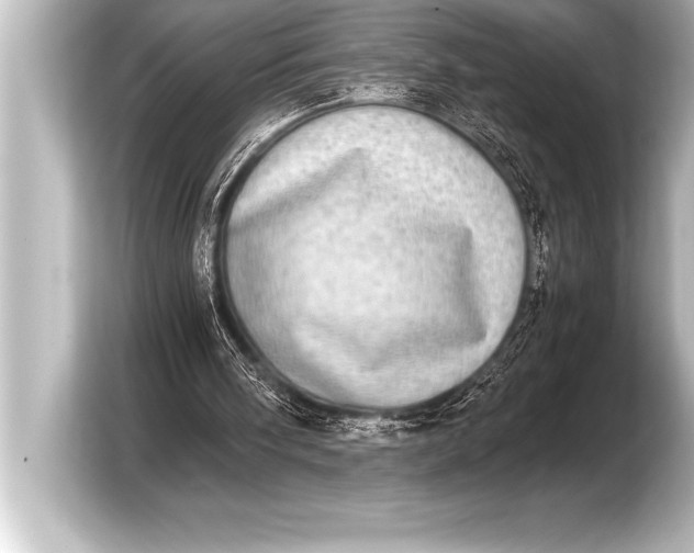 X0000103960098200810031212