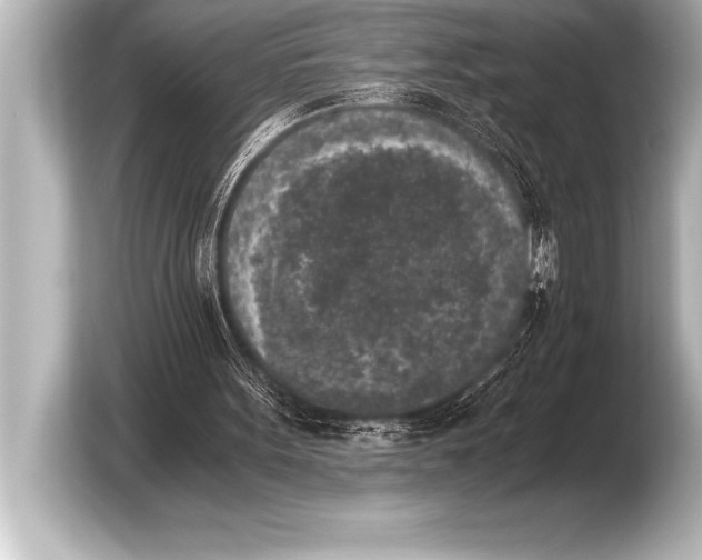 X0000103960099200810031212