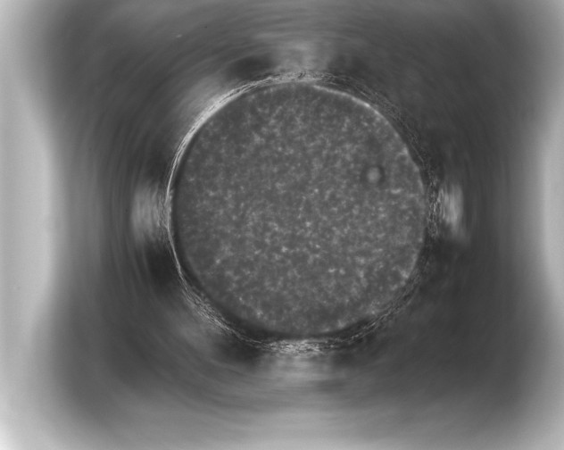 X0000103960100200810031212