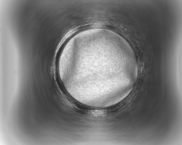 X0000103960102200810031212