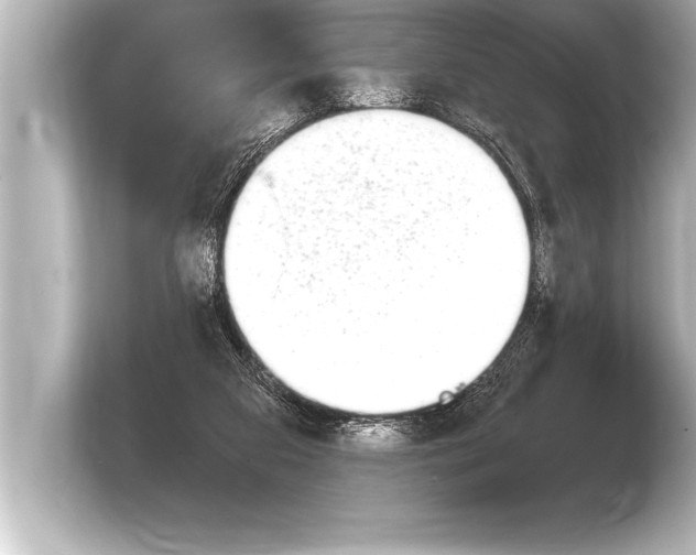 X0000103960113200810031212