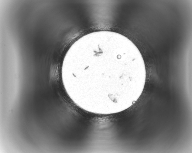 X0000103960120200810031212