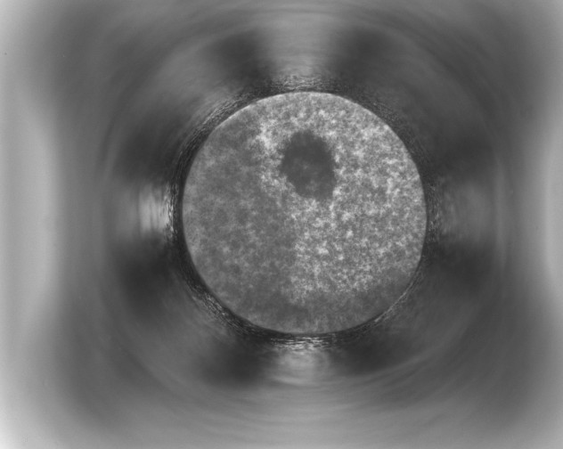 X0000103960124200810031212