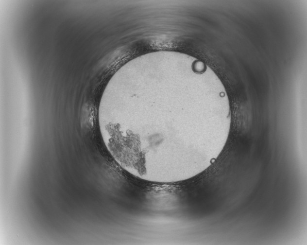 X0000103960125200810031212