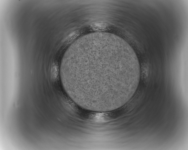 X0000103960130200810031212