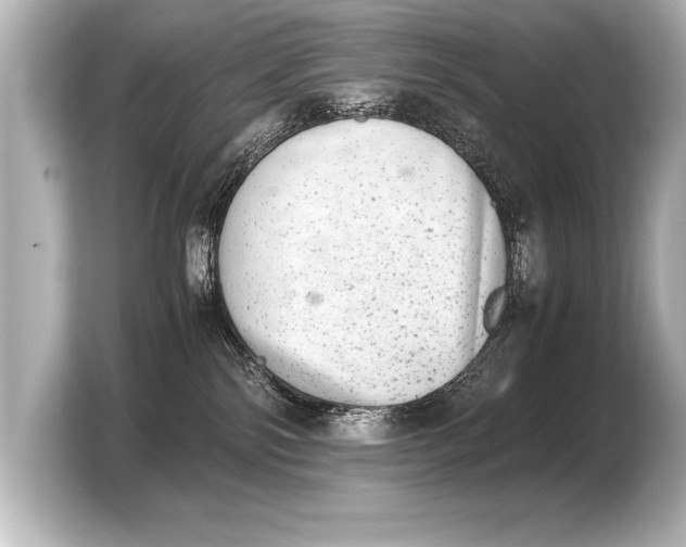 X0000103960138200810031212