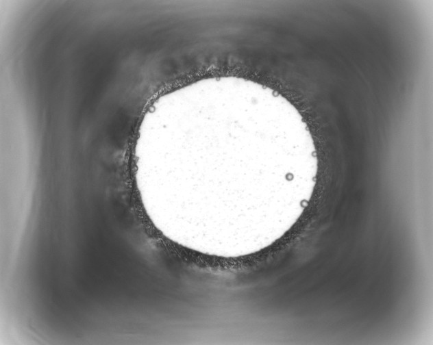 X0000103960144200810031212