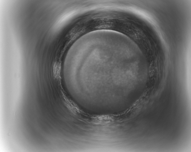 X0000103960146200810031211