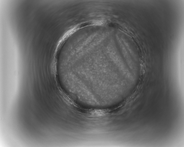 X0000103960149200810031211