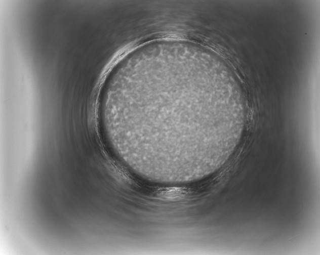 X0000103960151200810031211