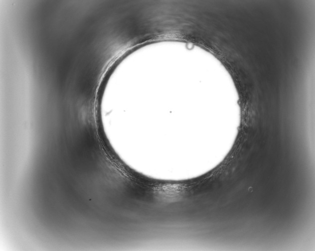 X0000103960152200810031211