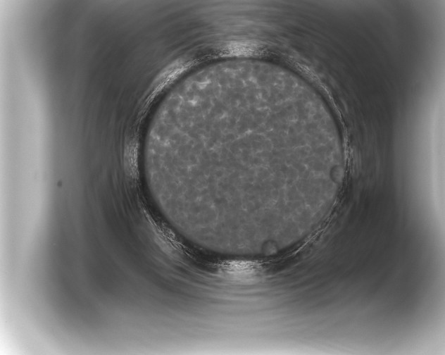 X0000103960154200810031211