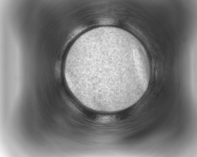 X0000103960155200810031211