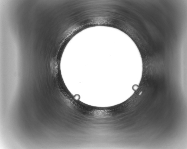 X0000103960160200810031211