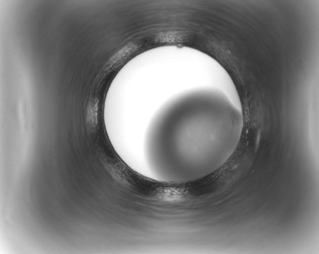 X0000103960163200810031211