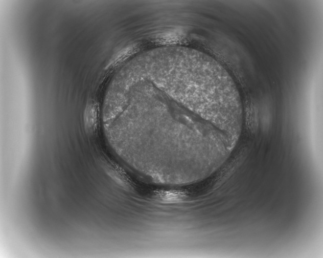 X0000103960165200810031211