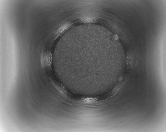 X0000103960168200810031211
