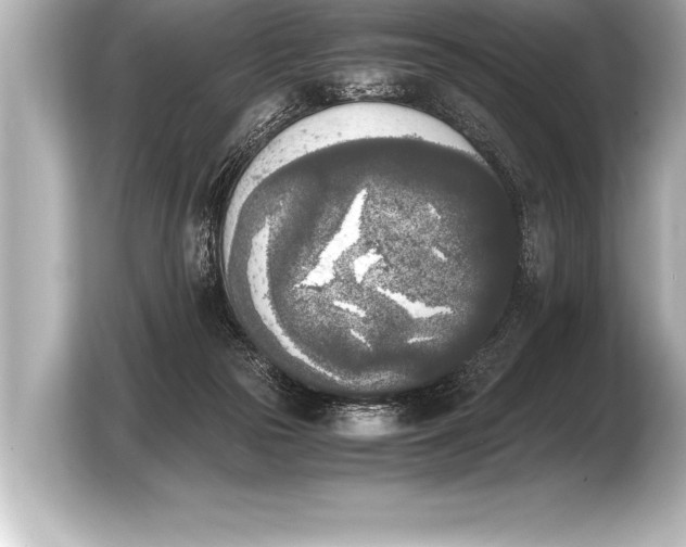 X0000103960169200810031211