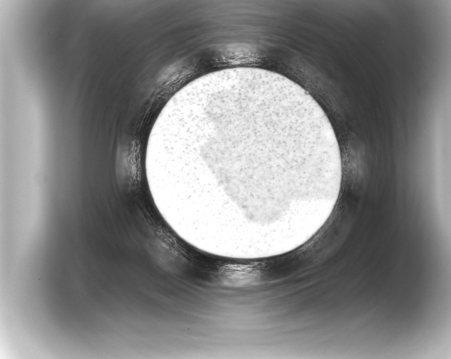 X0000103960170200810031211