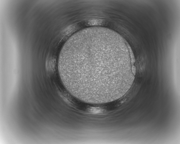 X0000103960171200810031211