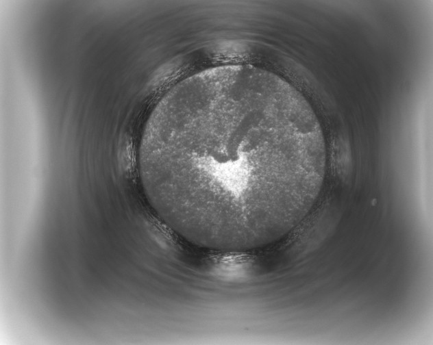 X0000103960173200810031211