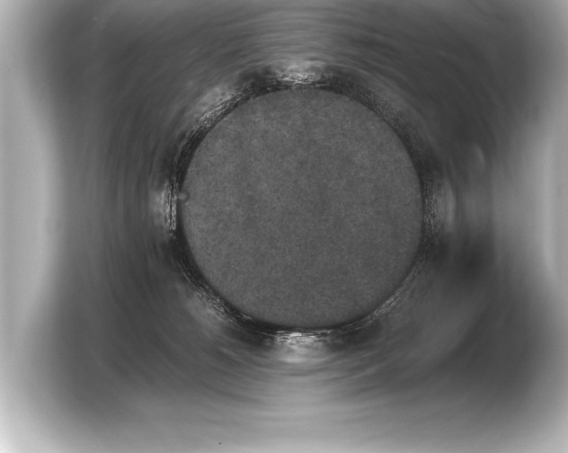 X0000103960180200810031211