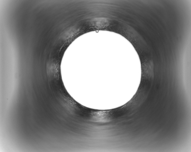X0000103960184200810031211