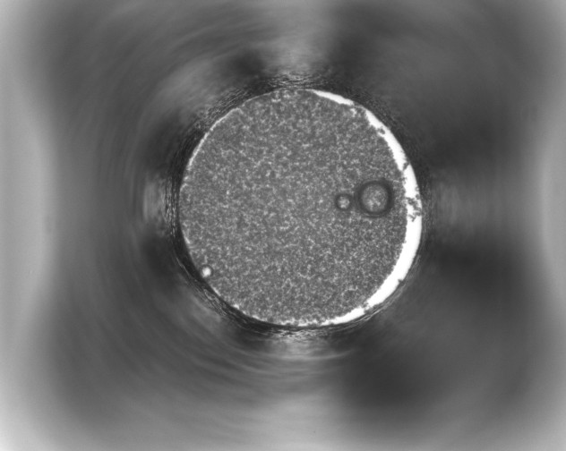 X0000103960186200810031211