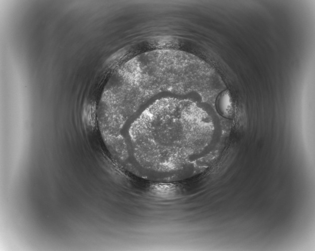X0000103960189200810031211