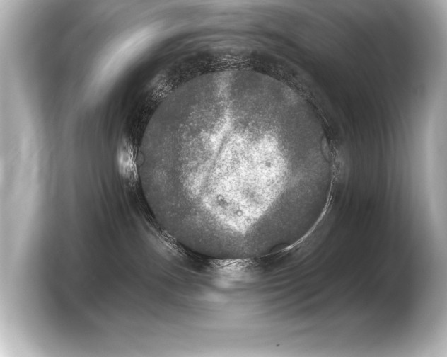 X0000103960191200810031211