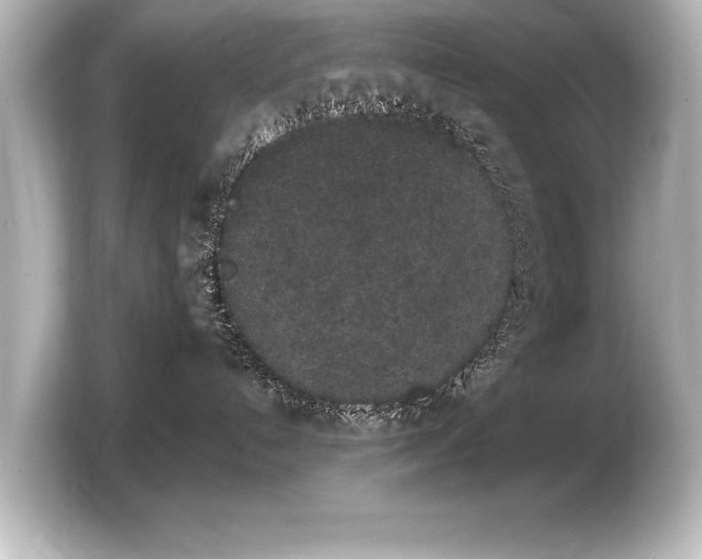 X0000103960192200810031211