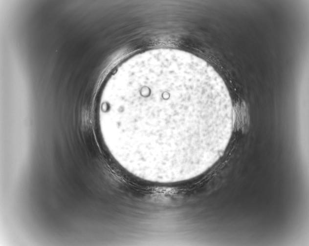 X0000103960195200810031211