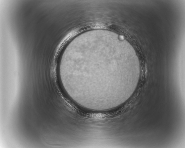 X0000103960197200810031211