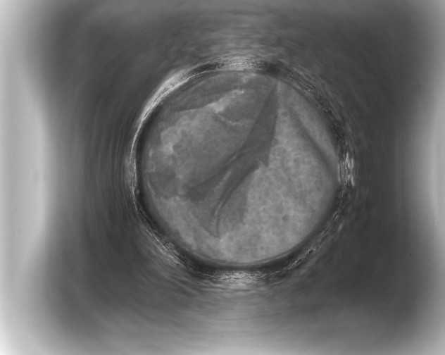 X0000103960198200810031211