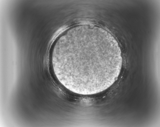 X0000103960199200810031211